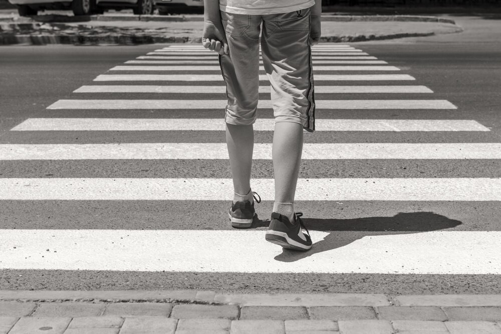 Dzikie zwierzęta na drodze: Jak uniknąć niebezpieczeństwa?