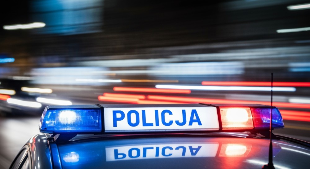 Zaniedbane psy w Mniszkowie – dramatyczne warunki życia ujawnione!