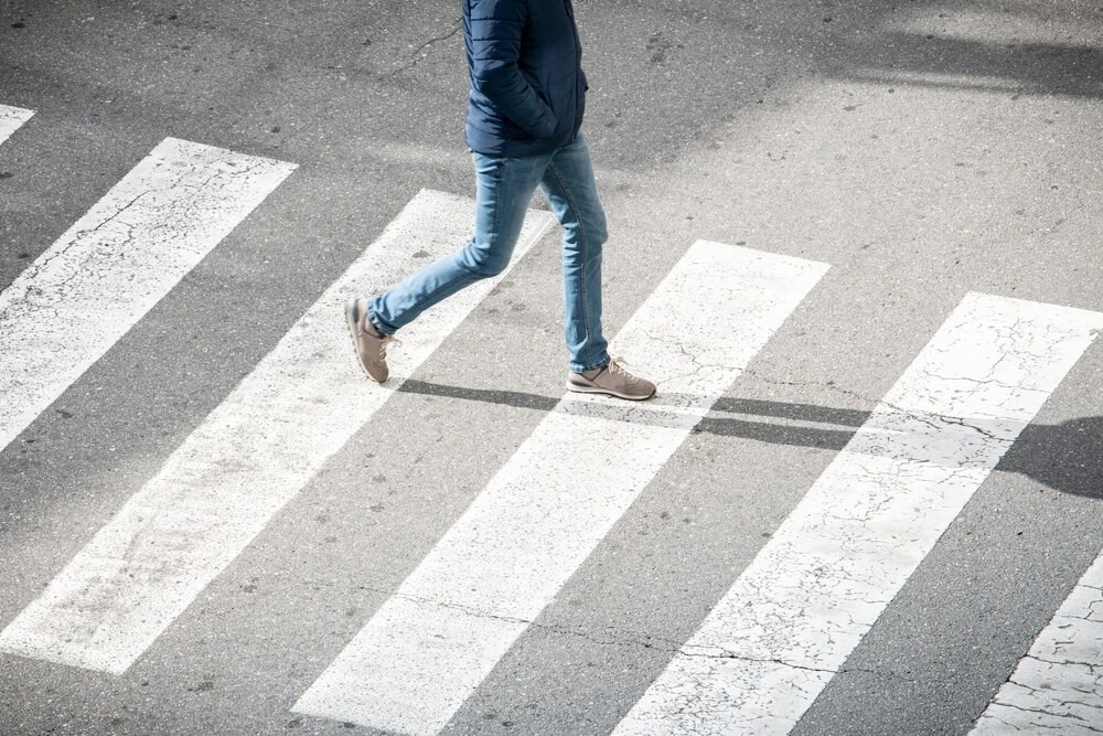 Zwierzęta na drodze: Jak uniknąć wypadków tej wiosny?